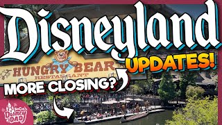 Disneyland Construction Updates amp Ride Closures JUNE 2024 [upl. by Nadbus]