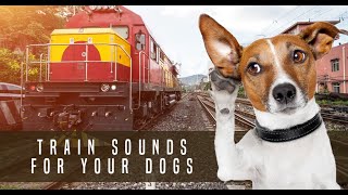 Train Sound Dog Desensitization Sound Noise for Puppy Dog Socialization [upl. by Ahsinad399]