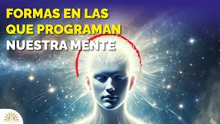 Descubre Cómo Programar tu Mente Subconsciente 🧠✨ [upl. by Althea]