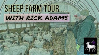 Production and Show Stock Sheep Farm Tour Rick Adams and Linessa Farms [upl. by Yentyrb]