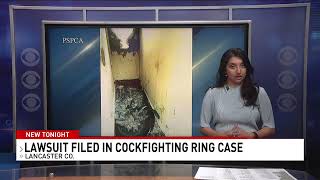 Fatima Moien  News at 5 PM Cockfighting investigation  WHPTV  CBS21 News [upl. by Darnoc]