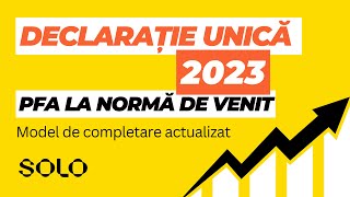 Model completare Declarație Unică 2023 pentru PFA la Normă de Venit [upl. by Eddra650]