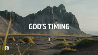 Gods Timing  Audio Reading  Our Daily Bread Devotional  November 8 2024 [upl. by Ahsatin]