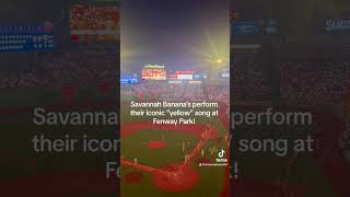 ￼Savannah Banana’s perform their iconic 7th inning stretch song “yellow” at Fenway Park [upl. by Shushan314]