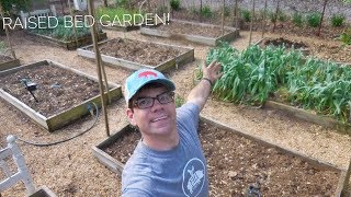 LETS GET GARDENING Home Gardening 101 with the Dancing Farmer [upl. by Nered531]