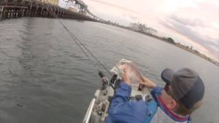 Wallaroo Snapper fishing 14122012 [upl. by Jolie]