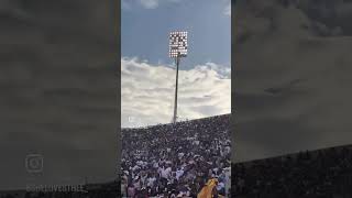 Jackson State HOMECOMING is an unmatched HBCU Experience [upl. by Heinrick]