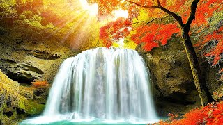 Poetic Ambience Of Autumn With Gentle Waterfall Sounds 🍁 Soft Jazz Music for Relaxation and Rest [upl. by Nowyt712]