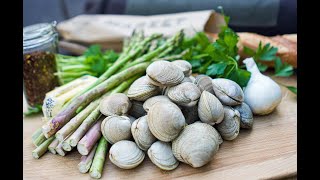 COASTAL FORAGING FOR DELICIOUS LITTLE CLAMS  How To Sustainably Harvest  Simple Recipe [upl. by Hashim]