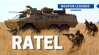 Ratel  An unforgettable wheeled armoured infantry fighting vehicle legend [upl. by Aniv]