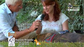 LEGA PER LA DIFESA DEL CANE RIVAROLO 06 Puntata 1443 [upl. by Ientirb]