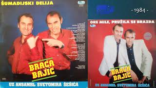 Braca Bajic  Soferska pesma  Audio 1984 [upl. by Rolyak]