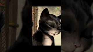 Çizmeli Kedi 🎥 sad cartoon edit çizmelikedi [upl. by Atsyrt]