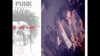 SUBHUMANS  31883 Brannigans Leeds  UK PUNK LIVE AUDIO [upl. by Annabela]