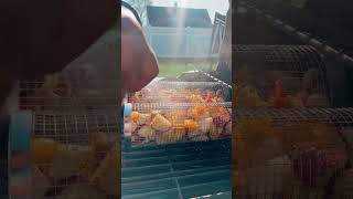 Best Grilling Hack  Grilled Veggies  Grilling Vegetables  ASMR [upl. by Eillek]