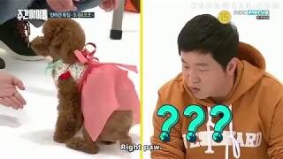 ENG SUB Weekly Idol Episode 336 [upl. by Milty288]