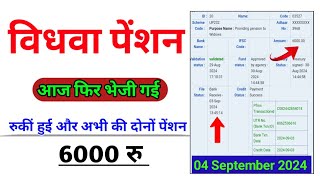 रुकीं हुई विधवा पेंशन एकसाथ 6000 भेजी गई  vidhwa pension kaise check kare  vidhwa pension [upl. by Dremann733]