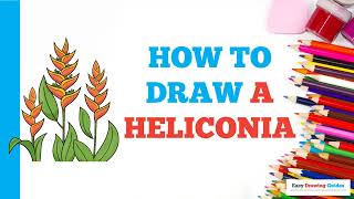 How to Draw a Heliconia Easy Step by Step Drawing Tutorial for Beginners [upl. by Gerson841]