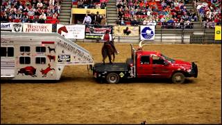 Onearmed bandit John Payne with His Buffalo at the MidAmerica Horse Fair in 2011 [upl. by Ancelin47]