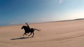 Reiten Reiturlaub am Strand Zitouna Meer Djerba schneller Galopp [upl. by Llaccm178]