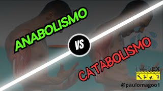 Como o ANABOLISMO e o CATABOLISMO podem ACELERAR os seus RESULTADOS  PaleoEX [upl. by Aiciram456]