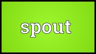 Spout Meaning [upl. by Elylrac627]