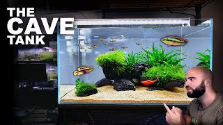 Aquascape Tutorial CAVE AQUARIUM African Cichlid Kribensis How To Step By Step Guide [upl. by Appolonia]