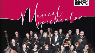 Musical Spectacular on 21102024 with National Chamber Orchestra of Armenia in Cardiff [upl. by Ydnamron]