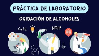 Práctica de laboratorio quotOxidación de alcoholesquot [upl. by Anovad]