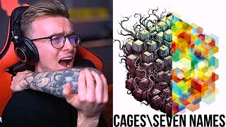 Album FINALE  Tesseract  Cages\Seven Names  First REACTION [upl. by Tasiana]