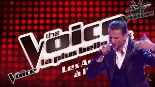 Depeche Mode VS The Voice Heavenceci est une parodie [upl. by Ahsyas884]