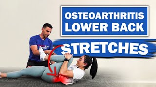 8 BEST Osteoarthritis Low Back amp Hip Impingement Relief Stretches [upl. by Zins728]