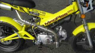 2010 Sachs MadAss125 [upl. by Ambrosane]