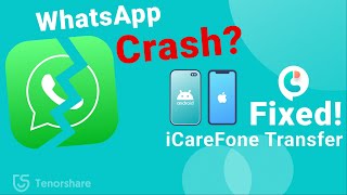 WhatsApp Keeps Crashing Fixed via iCareFone Transfer  Android amp iPhone [upl. by Chrystel957]