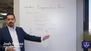 Your Guide to the Basics of Workers’ Compensation amp Claims [upl. by Shandie]