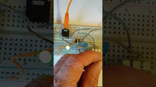 2 breadboard oscillators circuits running together 👍 [upl. by Dietrich187]