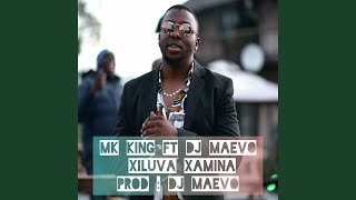 Xiluva Xamina feat DJ Maevo [upl. by Neyrb]