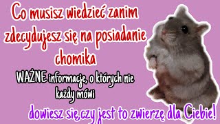 Co musisz wiedzieć przed zakupem CHOMIKA Informacje o których NIE KAŻDY mówi [upl. by Maribeth892]