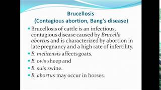 Brucellosis ppt [upl. by Melquist]