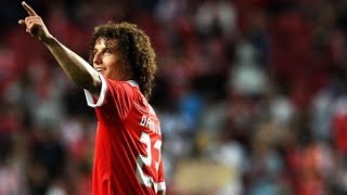 David Luiz  SL Benfica  All 6 Goals  20062011 [upl. by Flodnar]