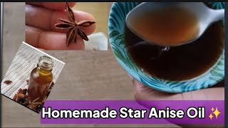 How to Make Star Anise Oil for Hair and Skin  health Benefits [upl. by Anjela599]