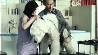 HypoVereinsbank Werbung 2001 Hundesalon [upl. by Nonad]