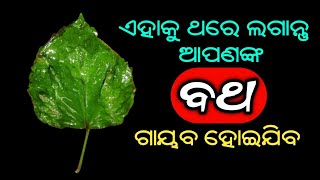 ଏହାକୁ ଥରେ ଲଗାନ୍ତୁ ଆପଣଙ୍କ ବଥ ଗାୟବ ହୋଇଯିବ  Furuncle Home Remedy in Odia  Boil in Skin [upl. by Brandais]