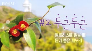 엘로히스트 읽을 때 듣기 좋은 새노래 2 [upl. by Renrew215]