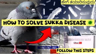 How to cure salmonellosis sukka 🦠 with simple steps explained by Nimmasivaraj pigeon youtube [upl. by Tahpos10]