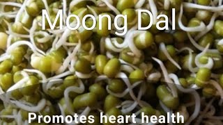 Soaked moong dal benefits plants botany healthylifestylesciencefacts [upl. by Supat]