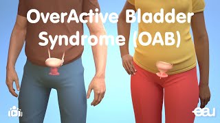 OverActive Bladder Syndrome [upl. by Garber]