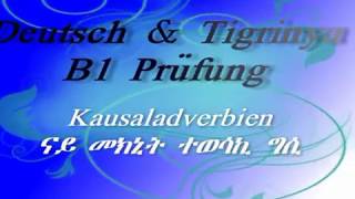 kausaladverbien weil da denn deshalb trotzdemobwohl ናይ መክኒት ተወሳኪ ግሲ ። deutsch grammer [upl. by Eberta]