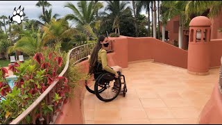 Felina Tiger  68  ACCESSIBLE STAY IN TENERIFE [upl. by Vanthe219]