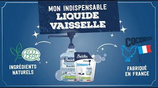 Pourquoi utiliser le liquide vaisselle amp mains Briochin   Conseils amp astuces [upl. by Purington]